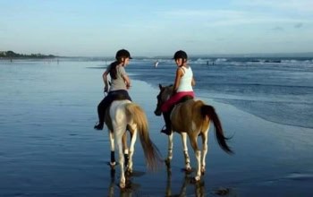 Two people riding horses along a black sand beach in Bali with palm trees and ocean in the background.